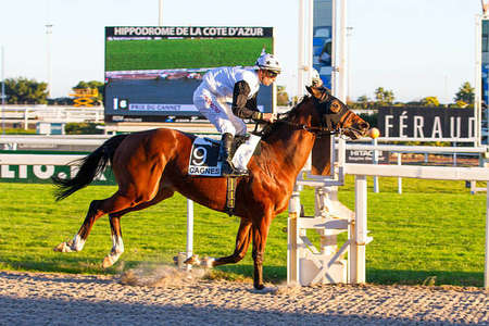 Actualités Hippiques